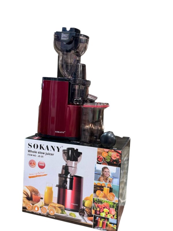 Sokany 300W Electric Slow Juicer